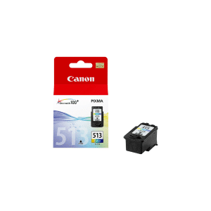 Cartuccia Canon 513 colore